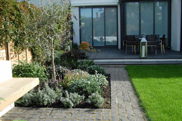Contemporary garden in Chiswick